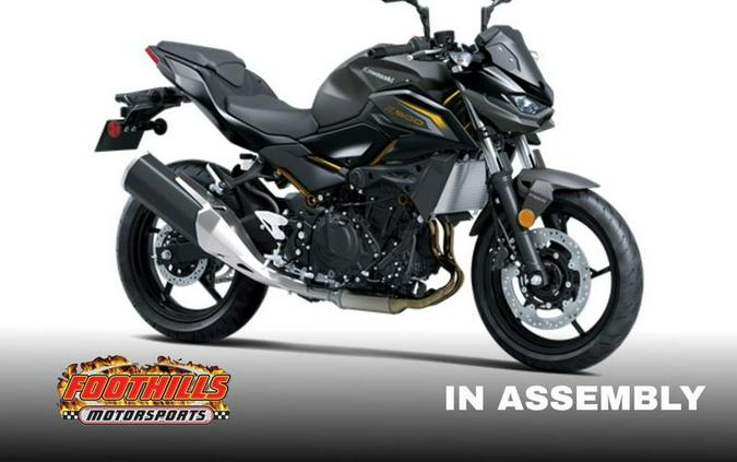 2026 Kawasaki Z500 ABS