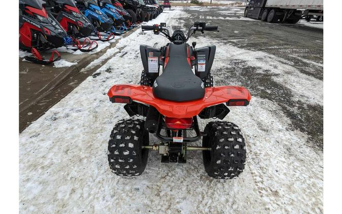 2024 Can-Am ATV DS 2X4 250-4ST RD 24