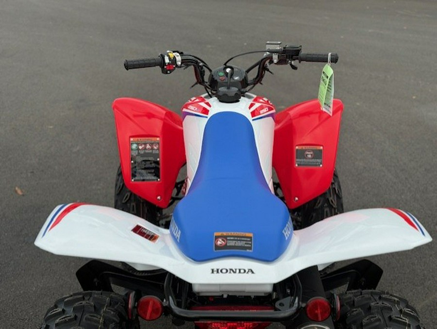 2026 Honda TRX 250 X