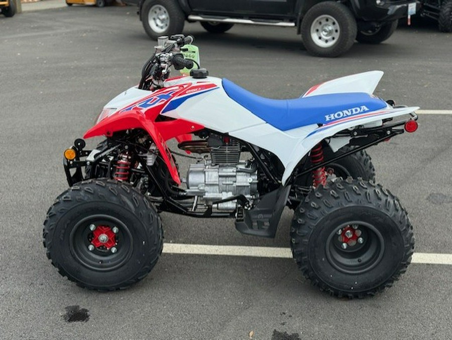 2026 Honda TRX 250 X