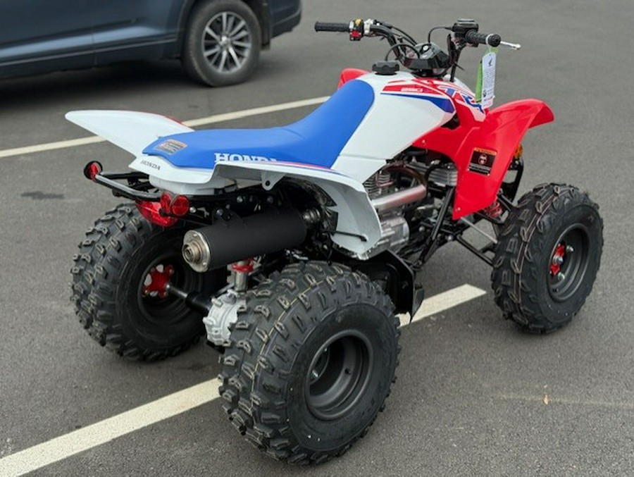 2026 Honda TRX 250 X