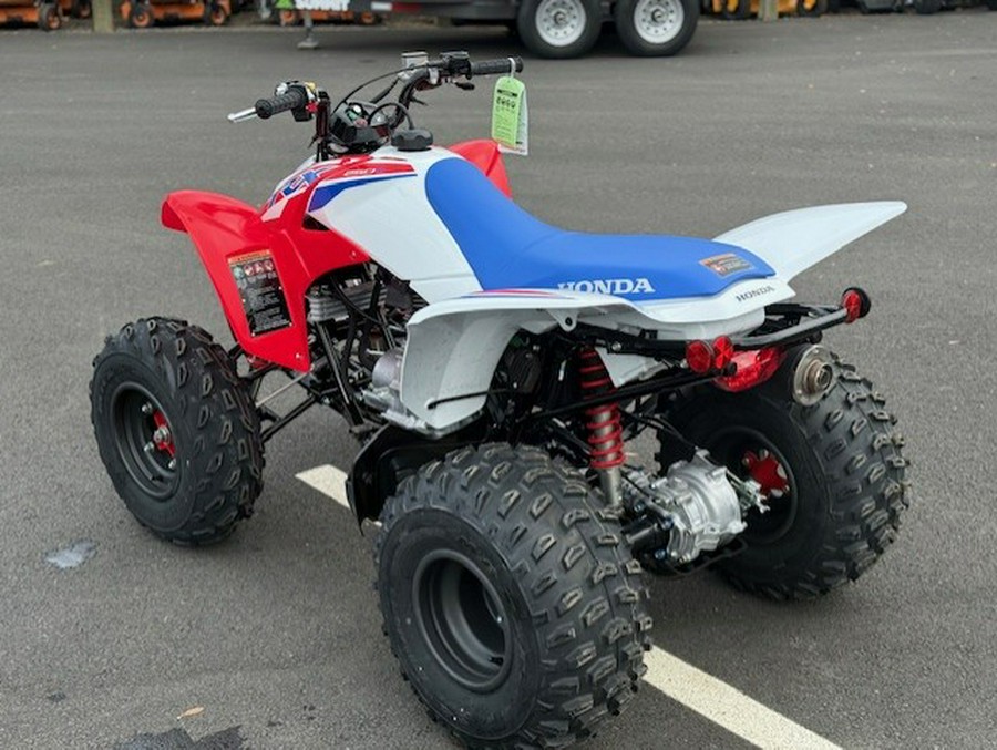 2026 Honda TRX 250 X