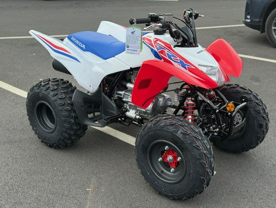 2026 Honda TRX 250 X