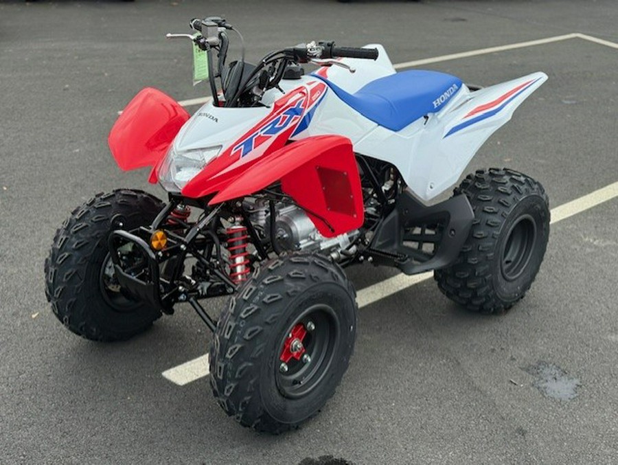 2026 Honda TRX 250 X