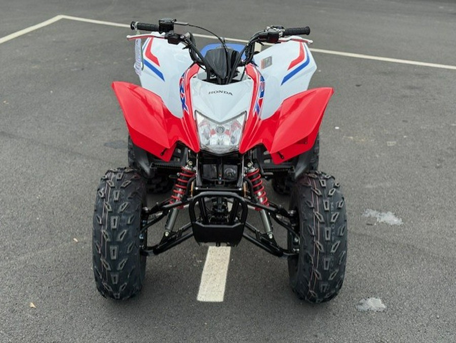 2026 Honda TRX 250 X
