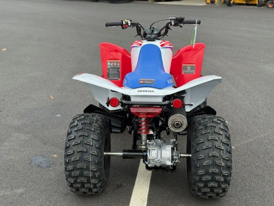 2026 Honda TRX 250 X
