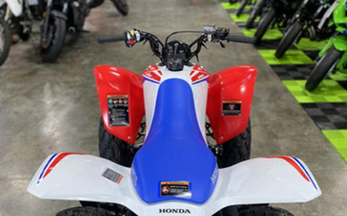 2026 Honda TRX 250X