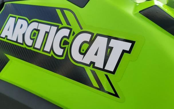 2023 Arctic Cat ALTERRA 600 EPS