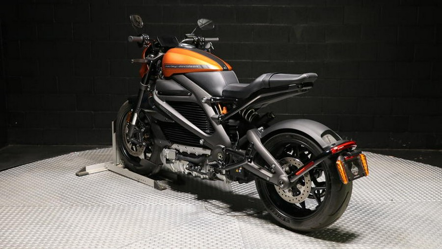 2020 Harley-Davidson® ELW - LiveWire™