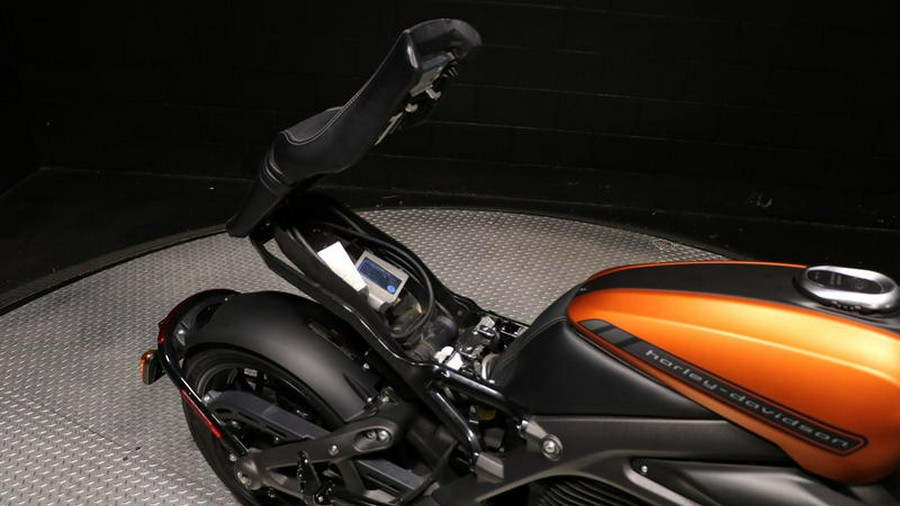 2020 Harley-Davidson® ELW - LiveWire™