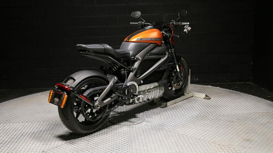 2020 Harley-Davidson® ELW - LiveWire™