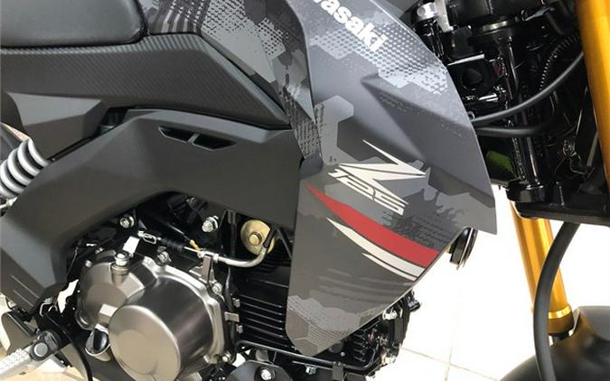 2024 Kawasaki Z125 PRO Base