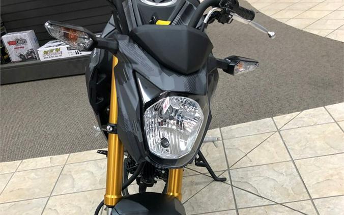 2024 Kawasaki Z125 PRO Base