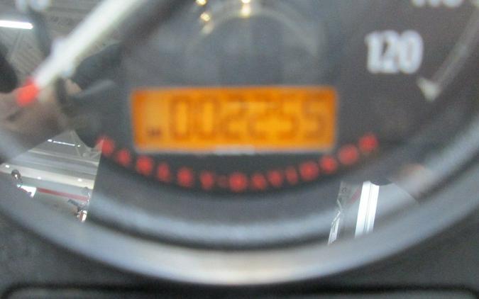 2020 Harley-Davidson® XL883L - Iron 883™