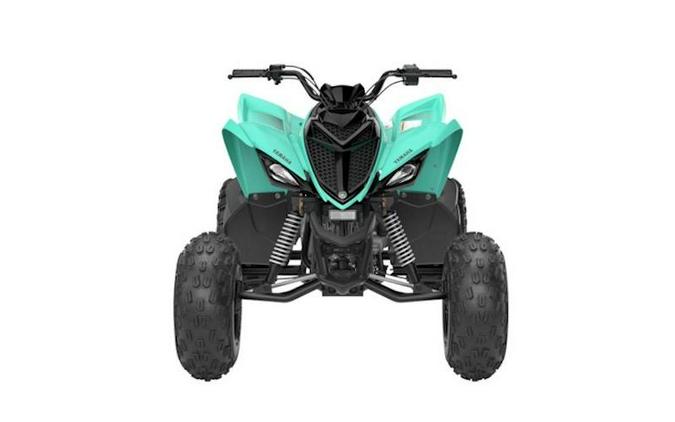 2025 Yamaha Raptor 110