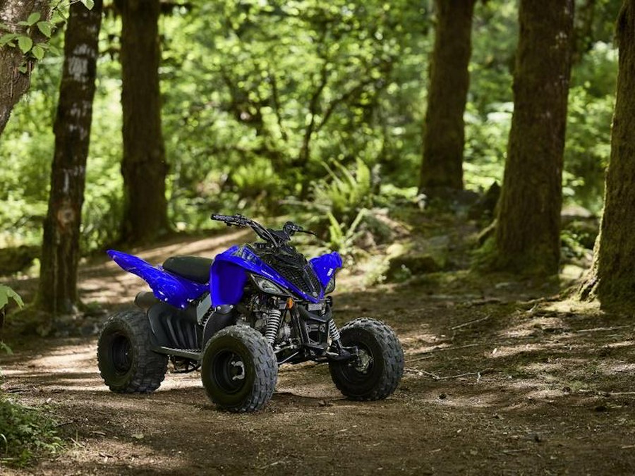 2025 Yamaha Raptor 110