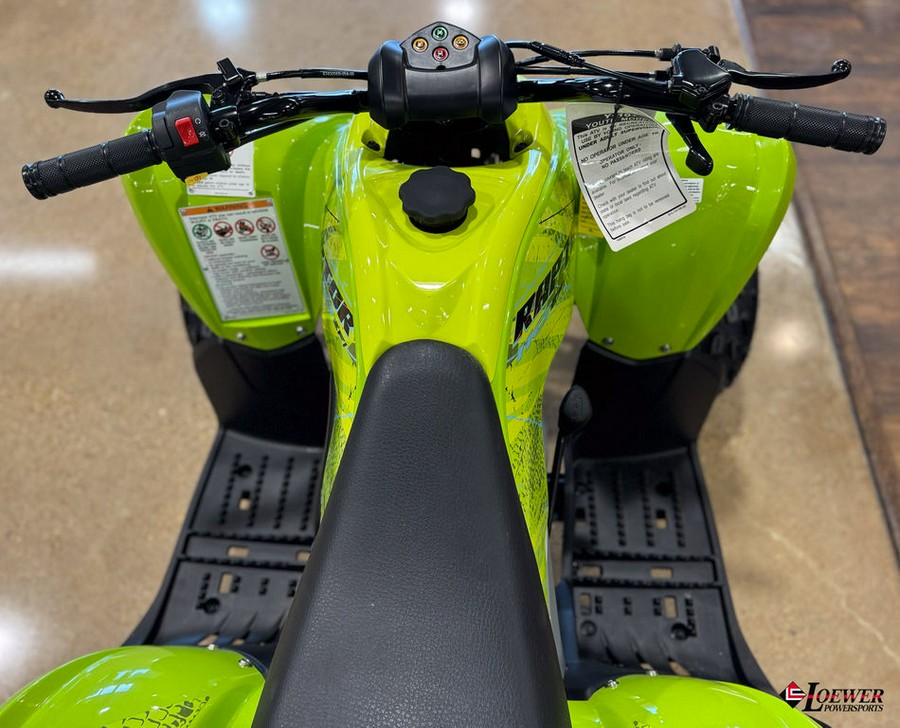 2026 Yamaha Raptor 110