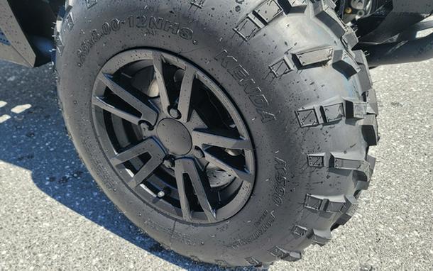 2023 Arctic Cat Alterra 600 XT