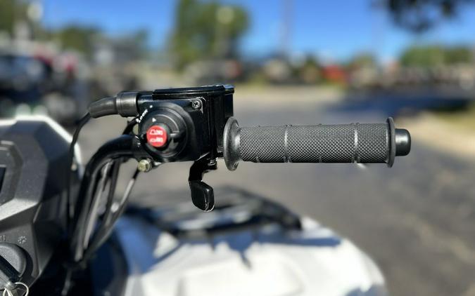 2025 Kawasaki Brute Force® 450 4x4