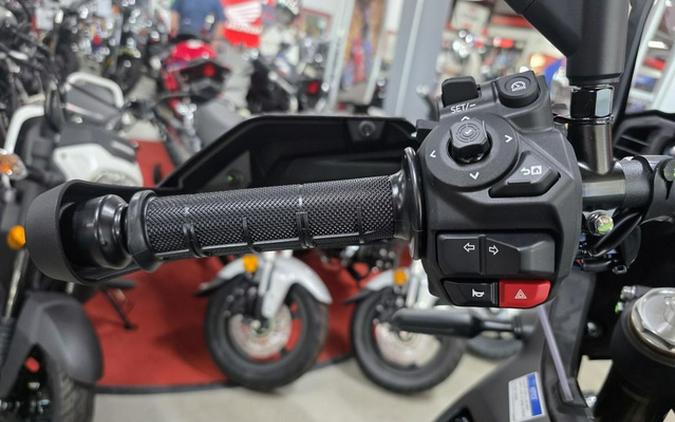 2026 Yamaha Tenere 700 World Raid