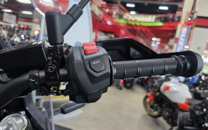 2026 Yamaha Tenere 700 World Raid