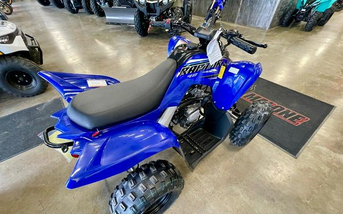 2023 Yamaha Raptor 90