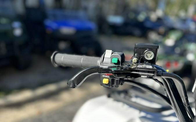 2025 Kawasaki Brute Force® 450 4x4