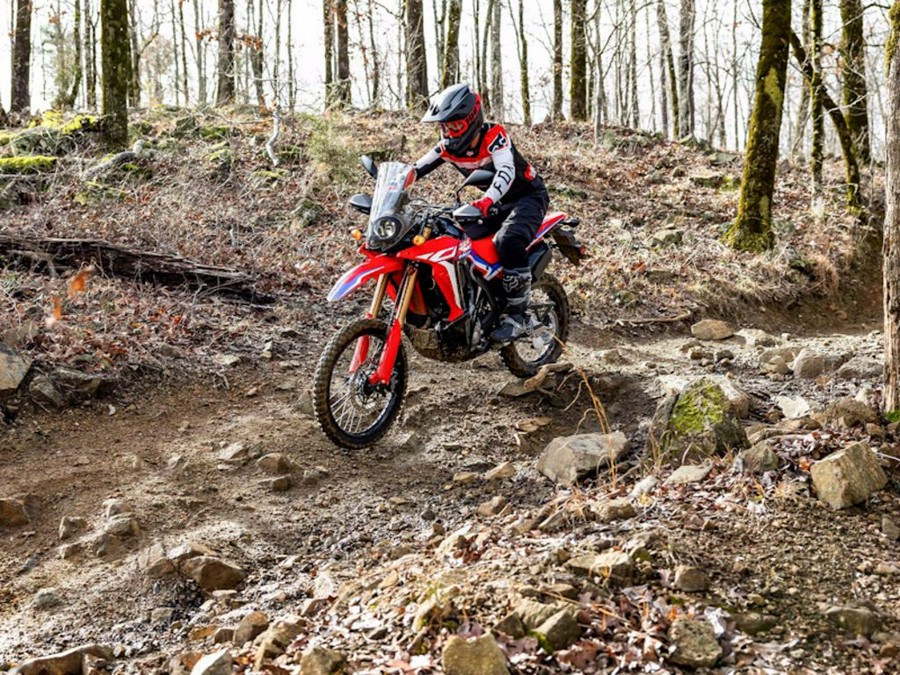 2024 Honda CRF® 300L Rally