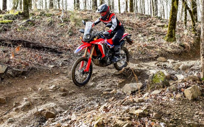 2024 Honda CRF® 300L Rally