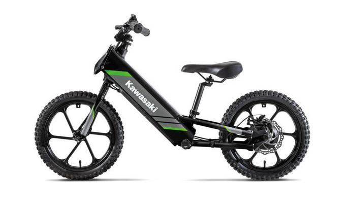 2025 Kawasaki Elektrode® 16 Base