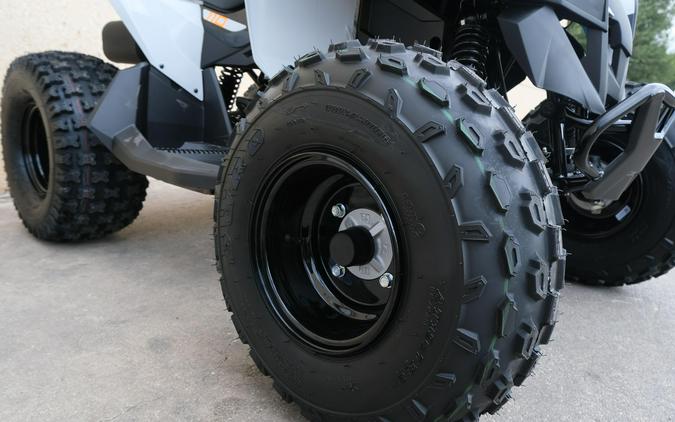 2027 CAN-AM RENEGADE 110 EFI