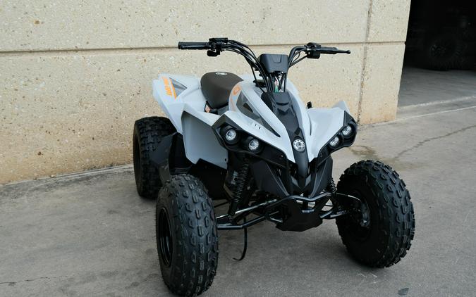 2027 CAN-AM RENEGADE 110 EFI