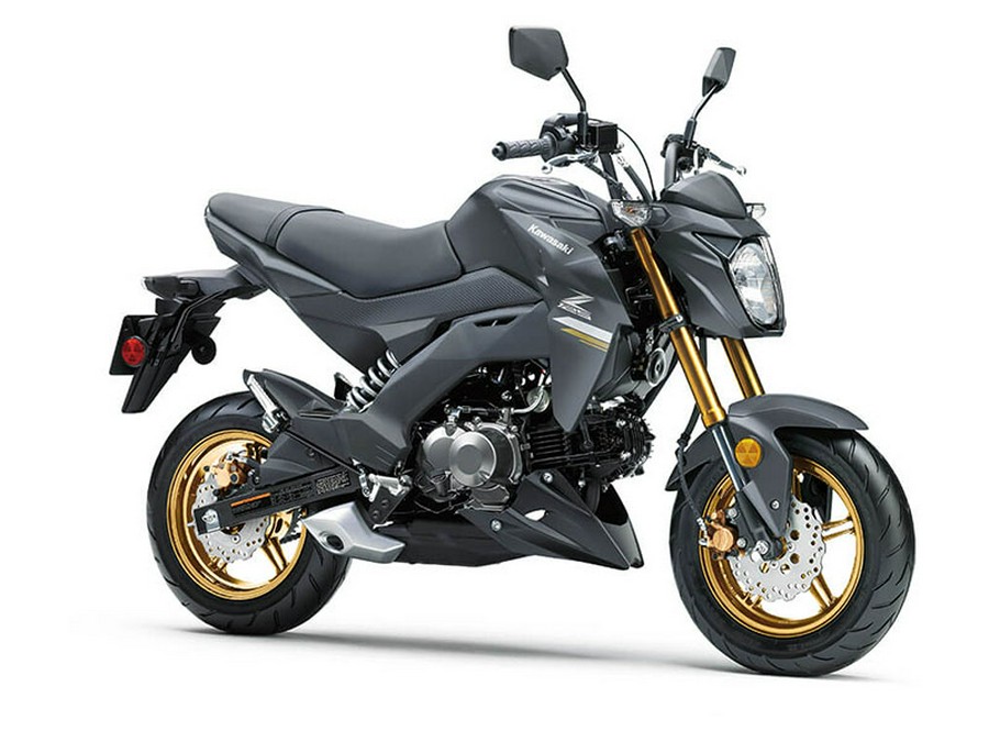 2024 Kawasaki Z125 Pro