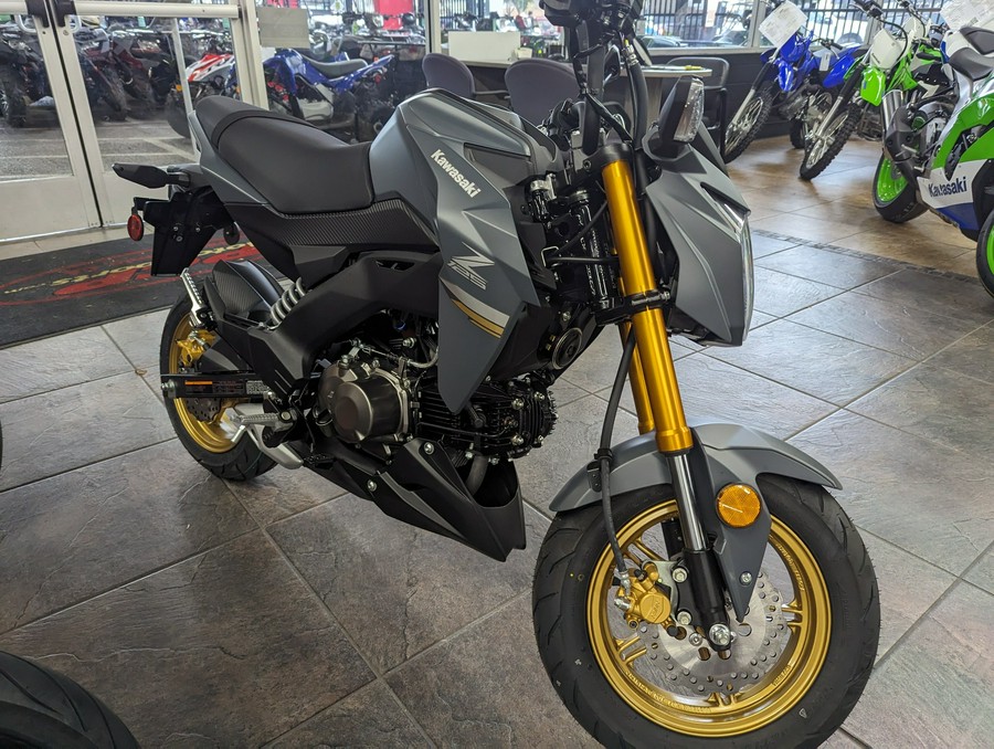 2024 Kawasaki Z125 Pro