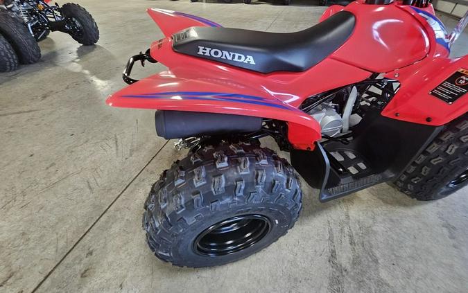 2024 Honda® TRX90X