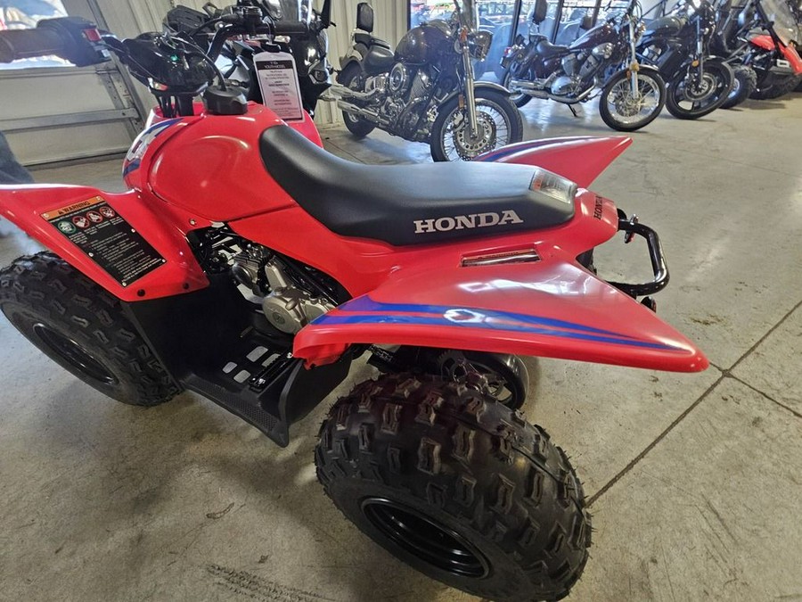 2024 Honda® TRX90X