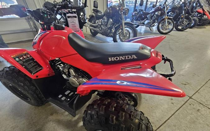 2024 Honda® TRX90X