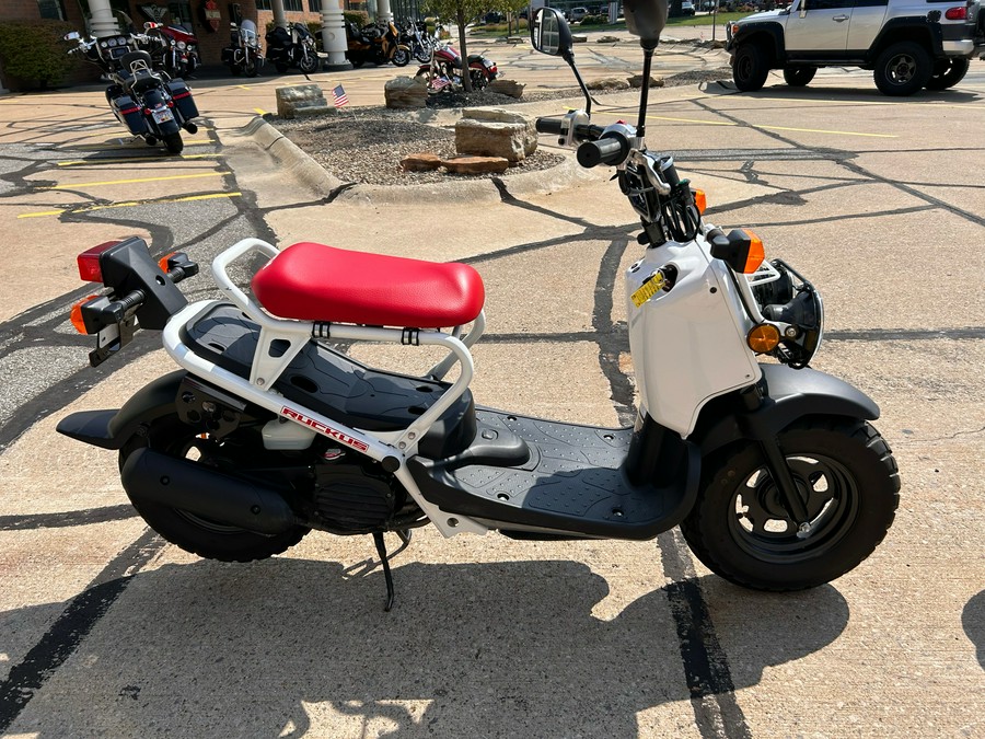 2020 Honda Ruckus