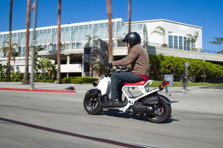 2020 Honda Ruckus