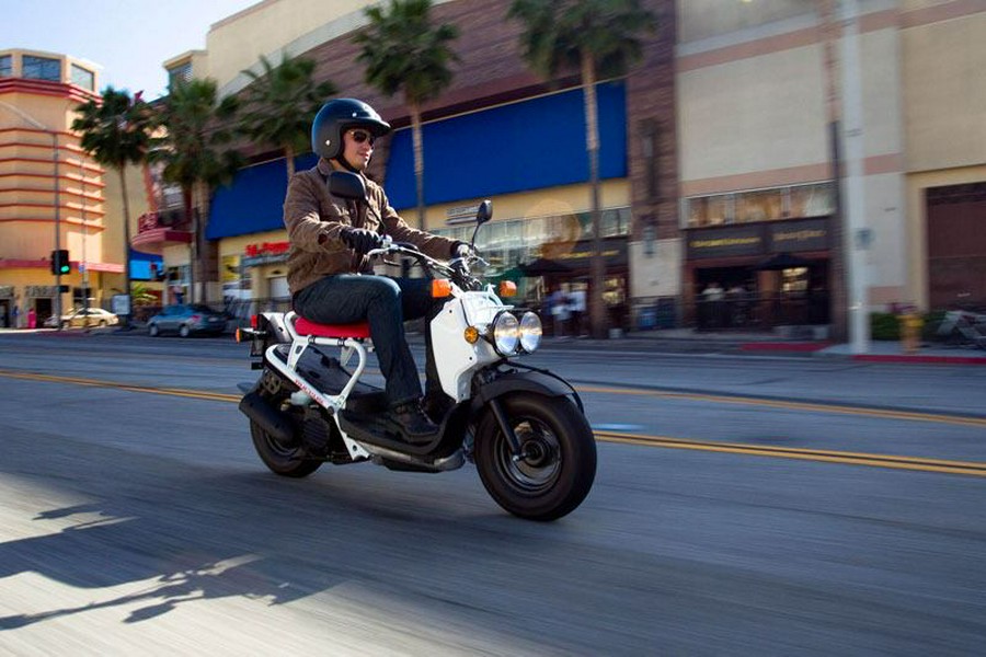 2020 Honda Ruckus