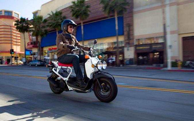 2020 Honda Ruckus