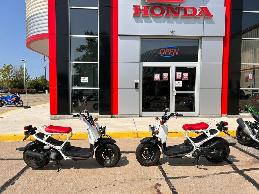 2020 Honda Ruckus