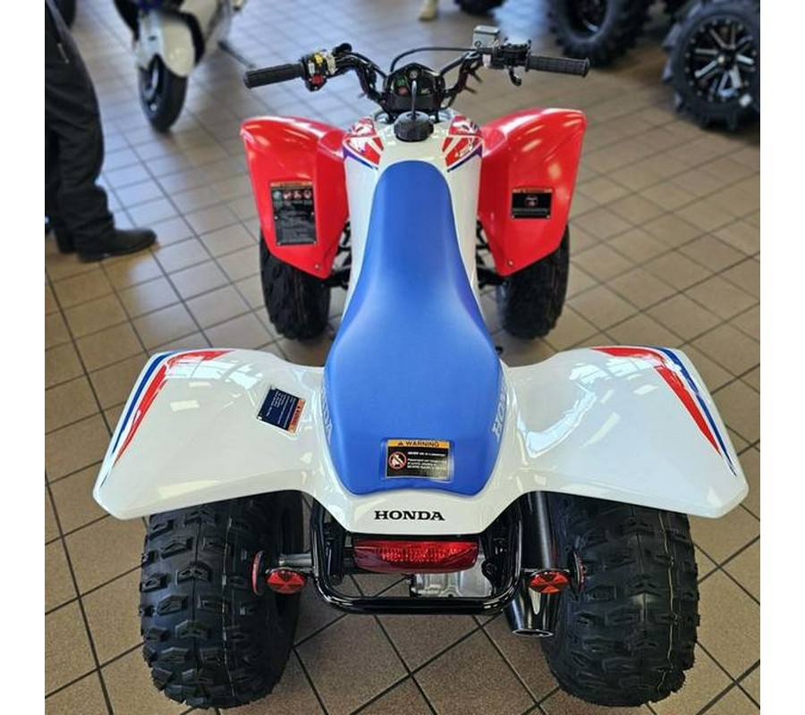 2026 Honda® TRX250X