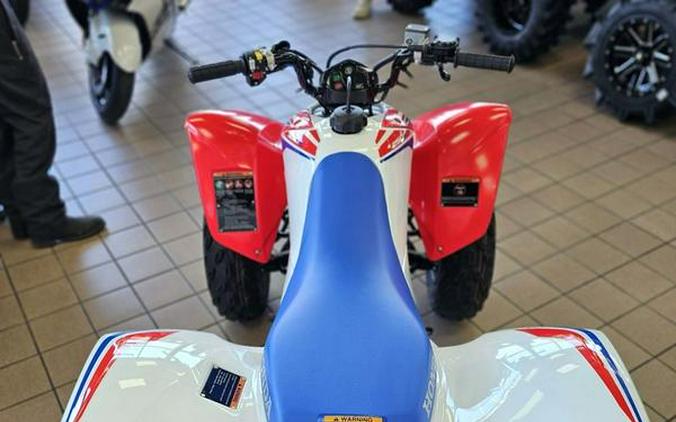 2026 Honda® TRX250X