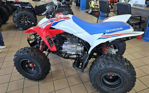 2026 Honda® TRX250X