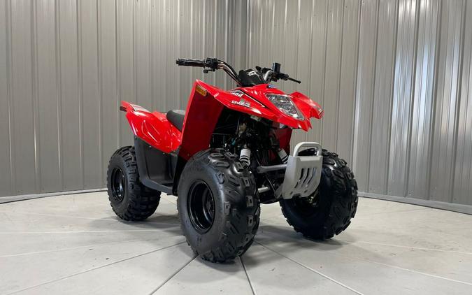 2018 Textron Off Road DVX 90