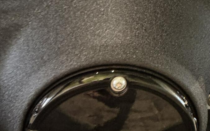 2025 Harley-Davidson Low Rider S