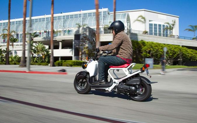 2020 Honda Ruckus