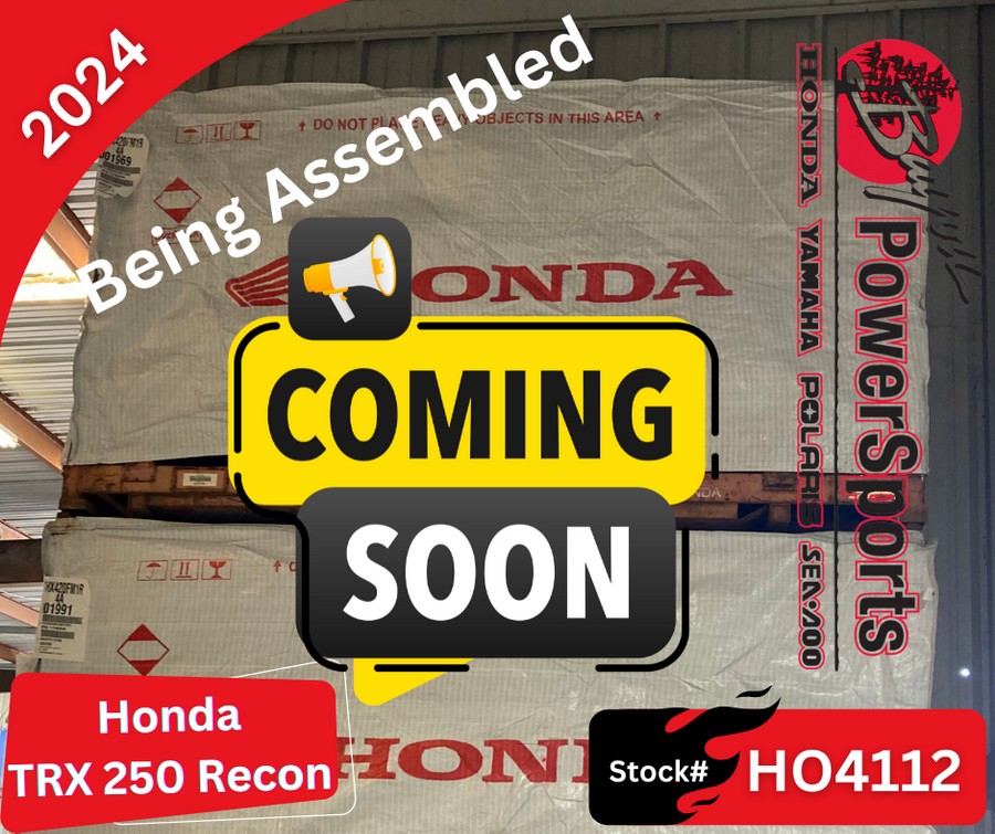 2024 Honda TRX 250 Recon 2WD