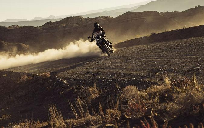 2025 Triumph Tiger 900 Rally Pro